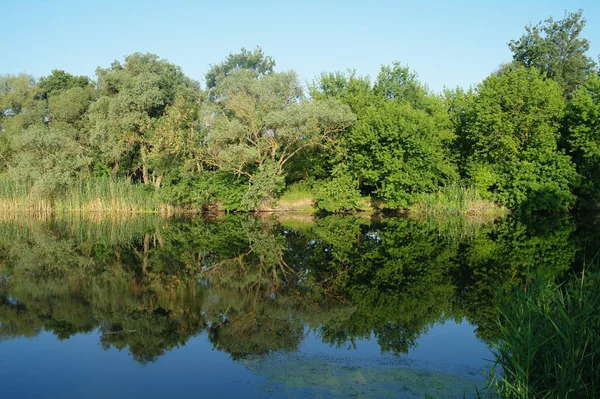 Nehir manzara ve ahşap