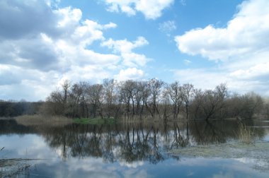  Nehir ve ahşap, bahar manzara
