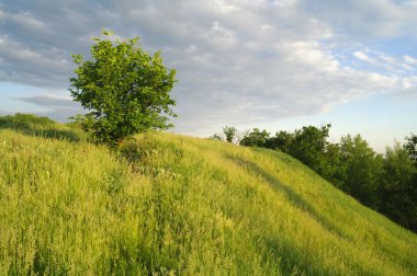 Dağlarda pastoral bahar peyzaj