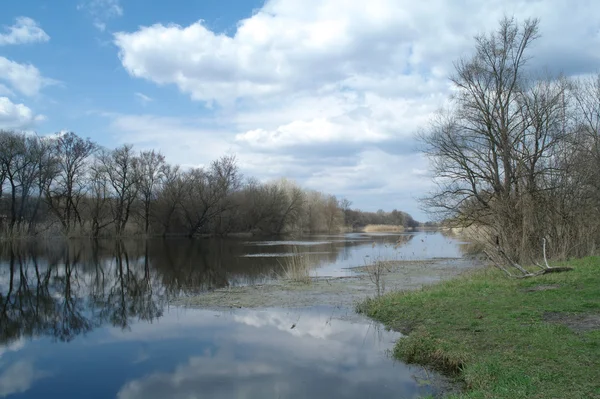 河和木头, 春天风景 — 图库照片