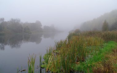 Nehir manzara ve sonbahar ahşap 