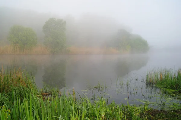 Morgon landskap med dimma på floden — Stockfoto