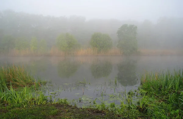 Paysage matinal avec brouillard sur la rivière — Photo