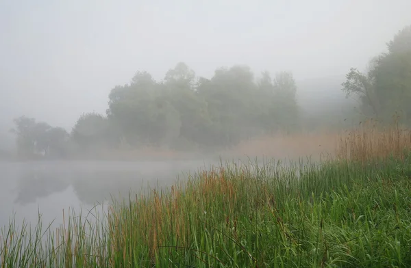 Paisaje matutino con niebla en el río Fotos de stock libres de derechos