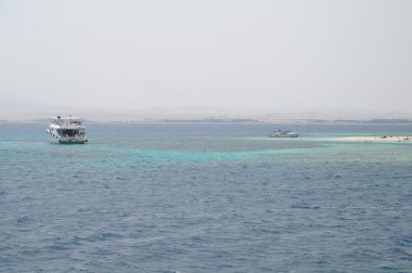 Beach coral Island Red Sea'deki/daki olduğunu.