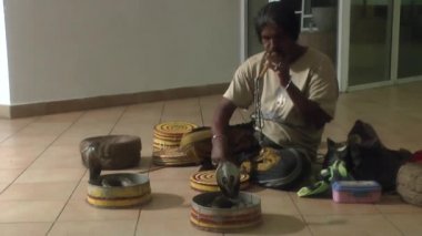 Sri Lankalı tamer zehir performansını
