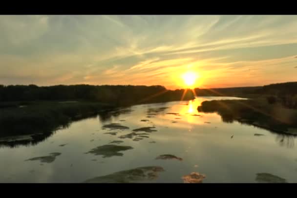 Le coucher du soleil (lever du soleil) au-dessus de la forêt et de la rivière en été , — Video