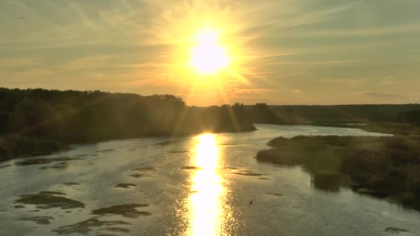 Der Sonnenuntergang (Sonnenaufgang) über Wald und Fluss im Sommer, — Stockvideo