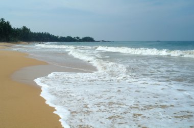 Resimlik plaj tropikal. Sri lanka