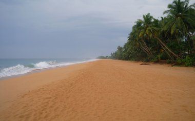 Resimlik plaj tropikal. Sri lanka