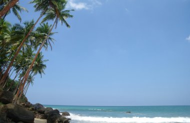 sri lanka sahillerinde çılgın plaj