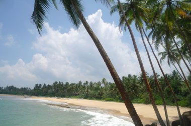 sri lanka sahillerinde çılgın plaj