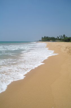 Resimlik plaj tropikal. Sri lanka
