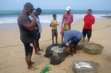 Induruwa, Sri Lanka - 22 Mart 2014: catch sahilde Induruwa, Sri Lanka sıralama balıkçılar.