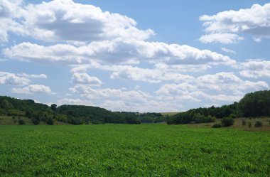 Alan ve gökyüzü. Güzel manzara