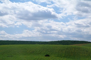 Alan ve gökyüzü. Güzel manzara