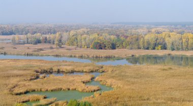 Nehir manzara ve bir sonbahar ahşap
