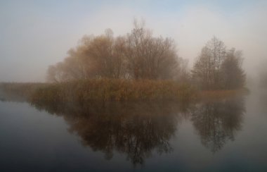 Nehir manzara ve bir sonbahar ahşap