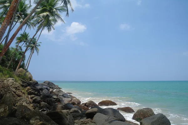 Дикий пляж на побережье Шри-Ланки — стоковое фото