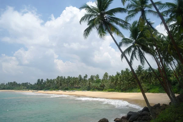 Playa salvaje en la costa de Sri Lanka — Foto de Stock