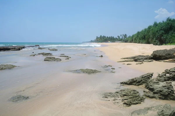 스리랑카 해안 야생 해변 — 스톡 사진