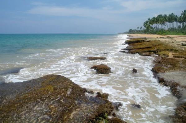 Playa salvaje en la costa de Sri Lanka — Foto de Stock