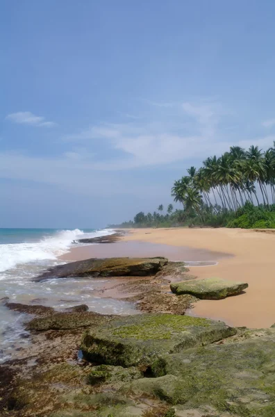 Dzikiej plaży na wybrzeżu sri Lanki — Zdjęcie stockowe