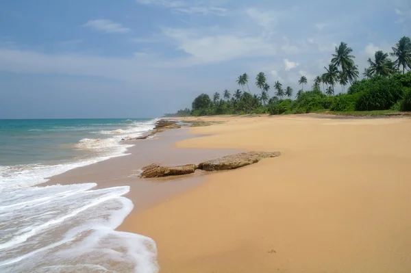 Resimlik plaj tropikal. Sri lanka — Stok fotoğraf