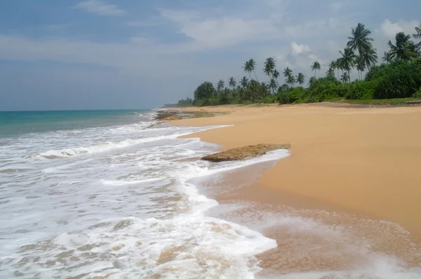 Malowniczej plaży tropikalnej. Sri lanka — Zdjęcie stockowe