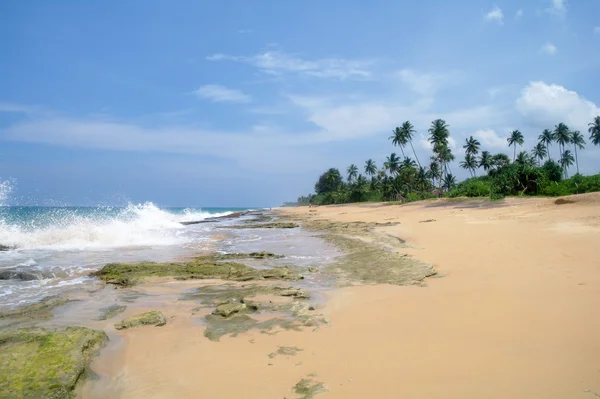 Malowniczej plaży tropikalnej. Sri lanka — Zdjęcie stockowe