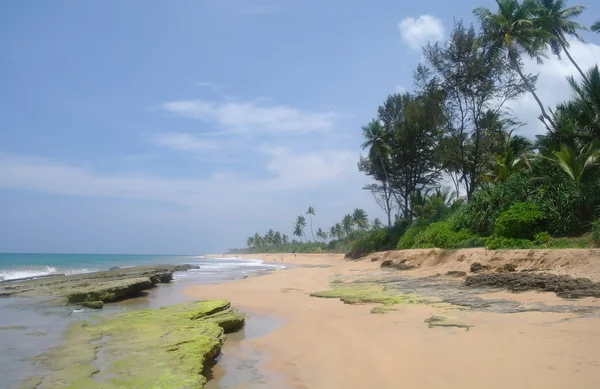 Playa salvaje en la costa de Sri Lanka — Foto de Stock