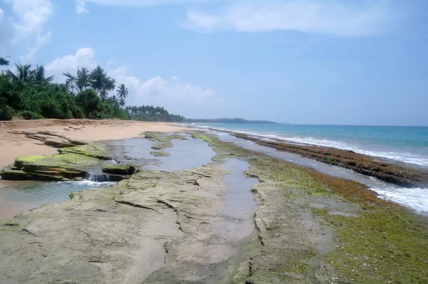 Sri lanka sahillerinde çılgın plaj — Stok fotoğraf