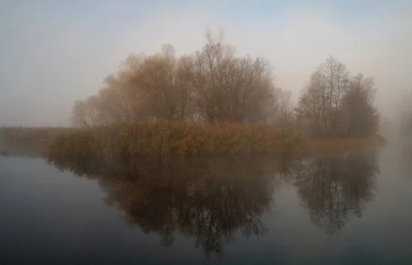 Nehir manzara ve bir sonbahar ahşap