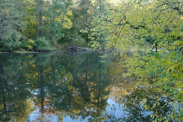 Flusslandschaft und Herbstholz — Stockfoto