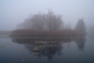Nehir manzara ve sonbahar ahşap