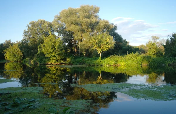 Fluss und Wald. Zusammensetzung der Natur. — Stockfoto