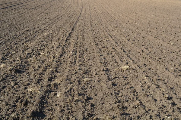 Textura do campo cultivado — Fotografia de Stock