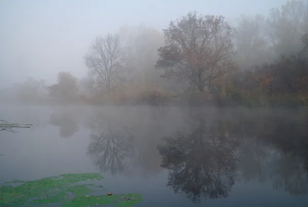 Paysage fluvial et bois d'automne — Photo