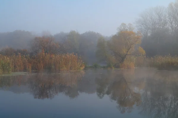 Flusslandschaft und Herbstholz — Stockfoto