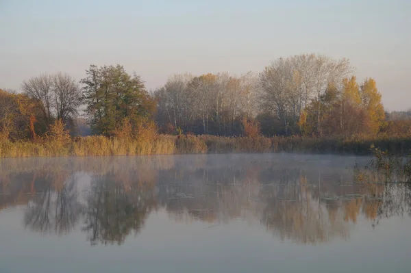 Floden landskap och hösten trä — Stockfoto