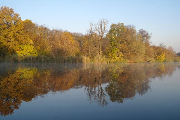 Rivier landschap en de herfst hout — Stockfoto