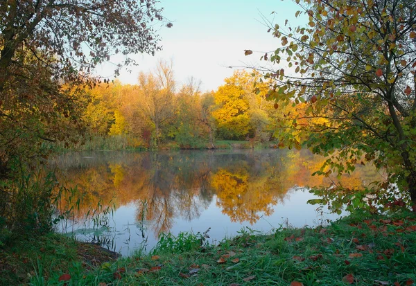 Nehir manzara ve sonbahar ahşap