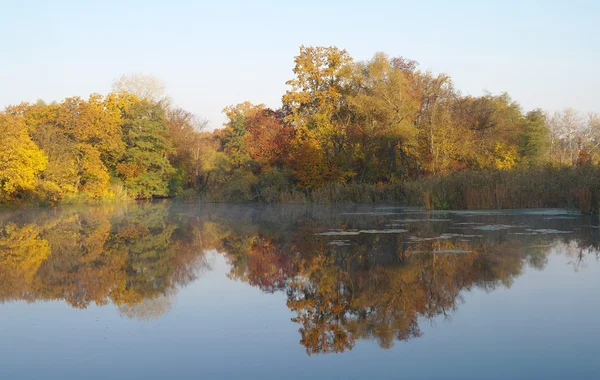 Rzeki krajobraz i autumn drewno — Zdjęcie stockowe