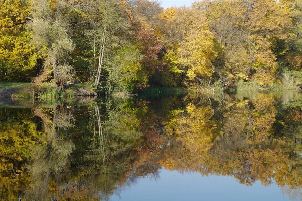 Flusslandschaft und Herbstholz — Stockfoto