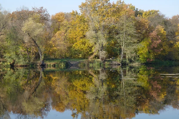 Paisagem fluvial e madeira de outono — Fotografia de Stock