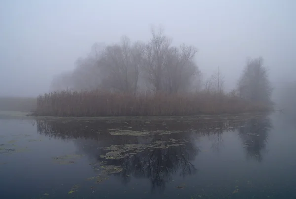 Nehir manzara ve sonbahar ahşap
