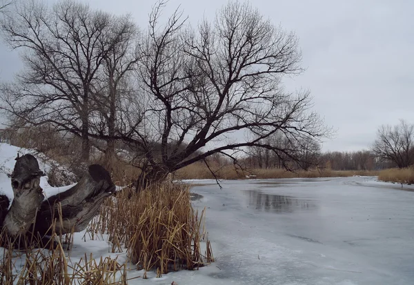 Hiver de la rivière — Photo