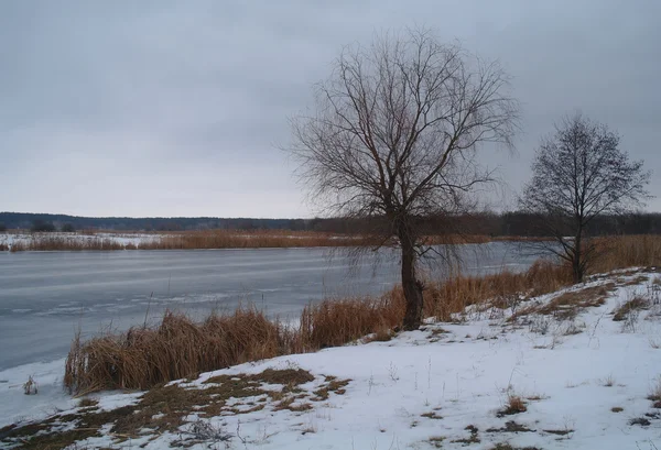 Hiver de la rivière — Photo