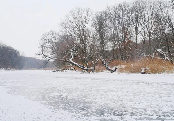 Zima nad rzeką — Zdjęcie stockowe