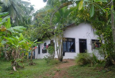 Evde tropik, Sri Lanka